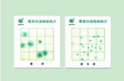 霉菌、酵母菌测试片